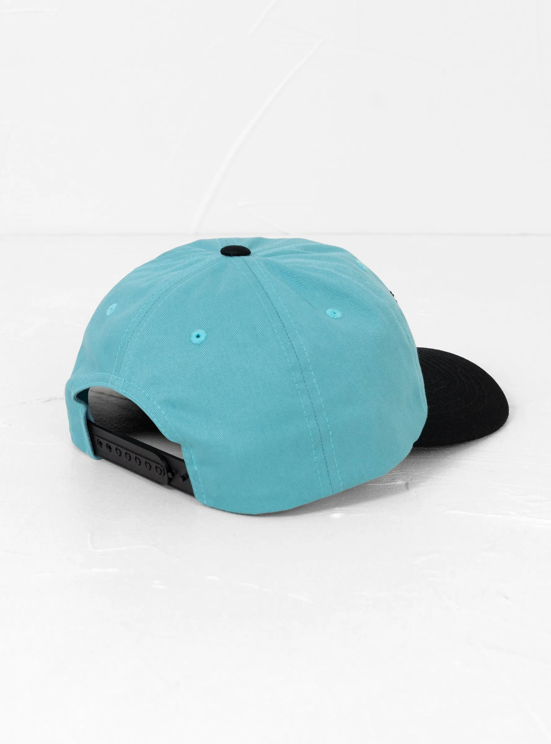 Chenille S Low Pro Cap Teal