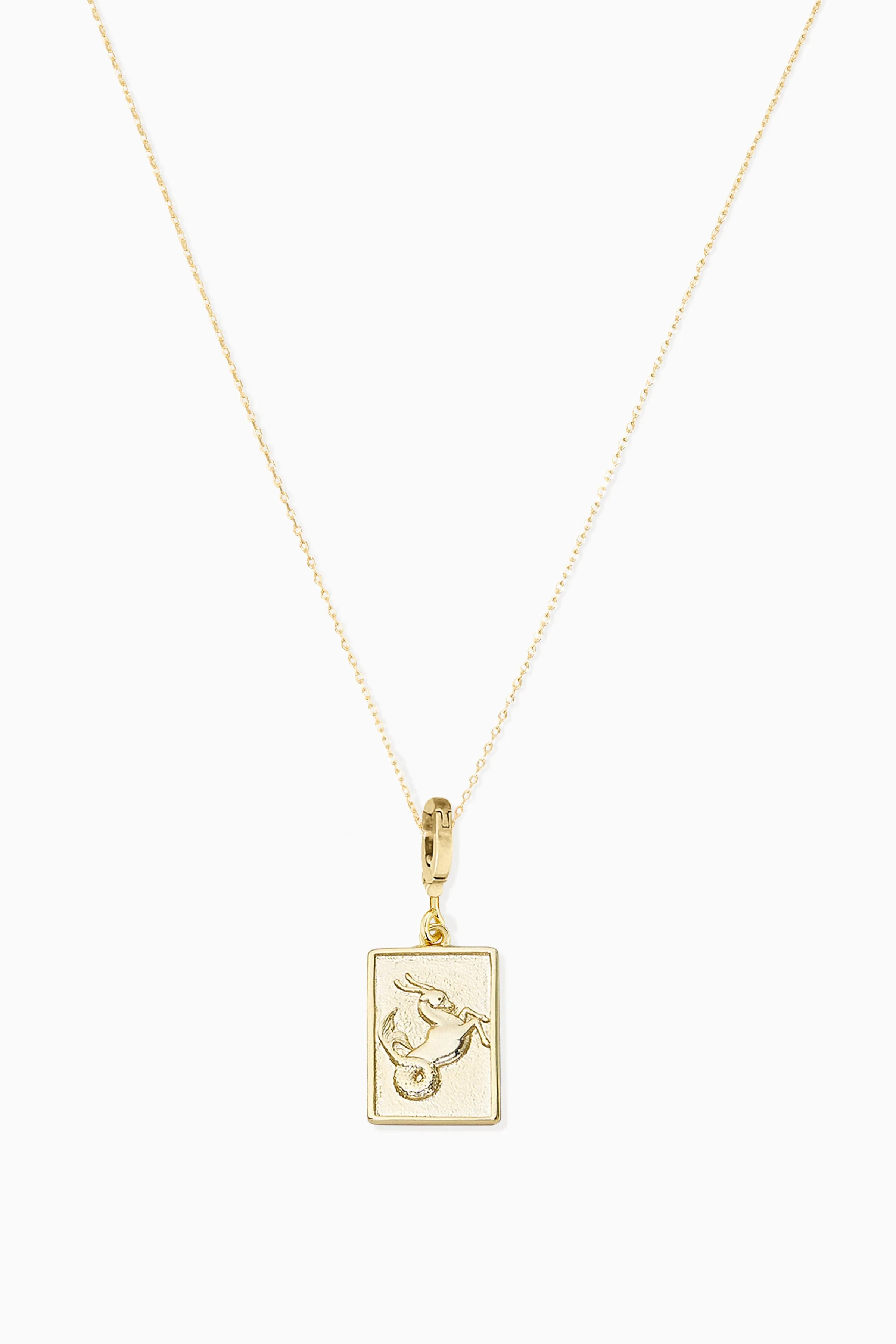 Delicate Chain   Zodiac Charm