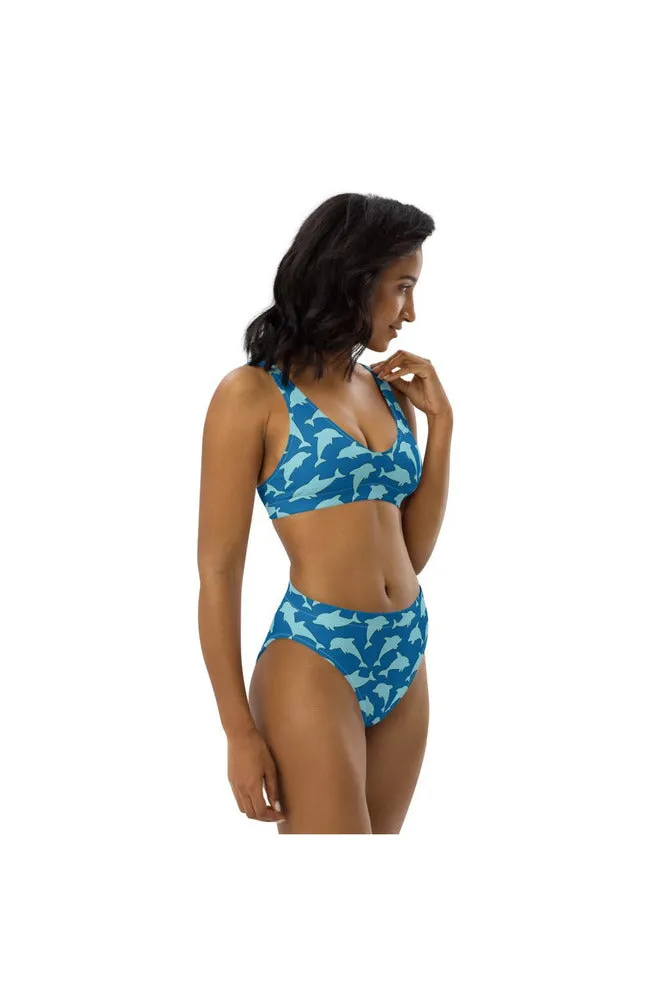 Dolphins Recycled high-waisted bikini