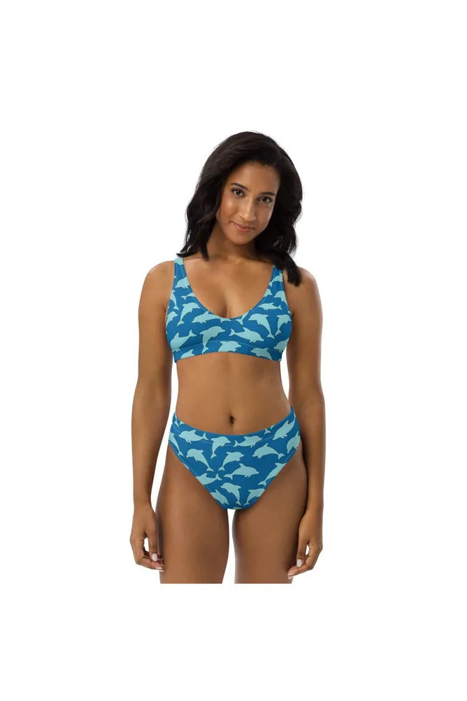 Dolphins Recycled high-waisted bikini