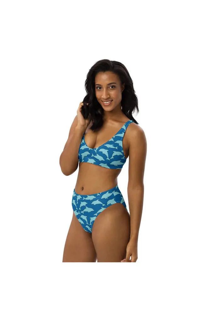 Dolphins Recycled high-waisted bikini