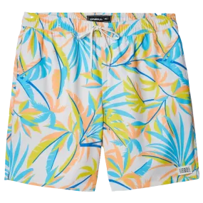 Men's Banyan Volley