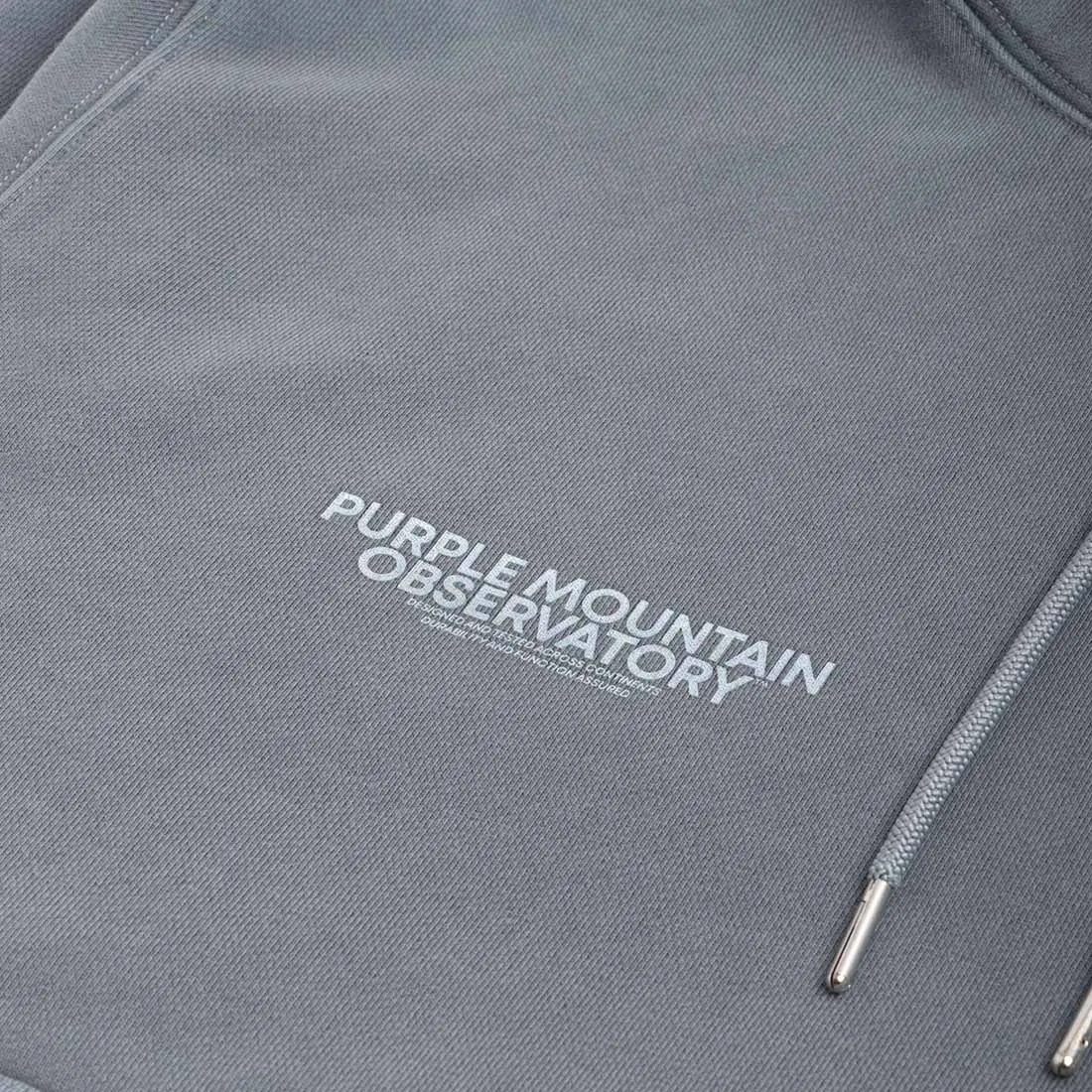 Purple Mountain Observatory Core Logo Hoodie