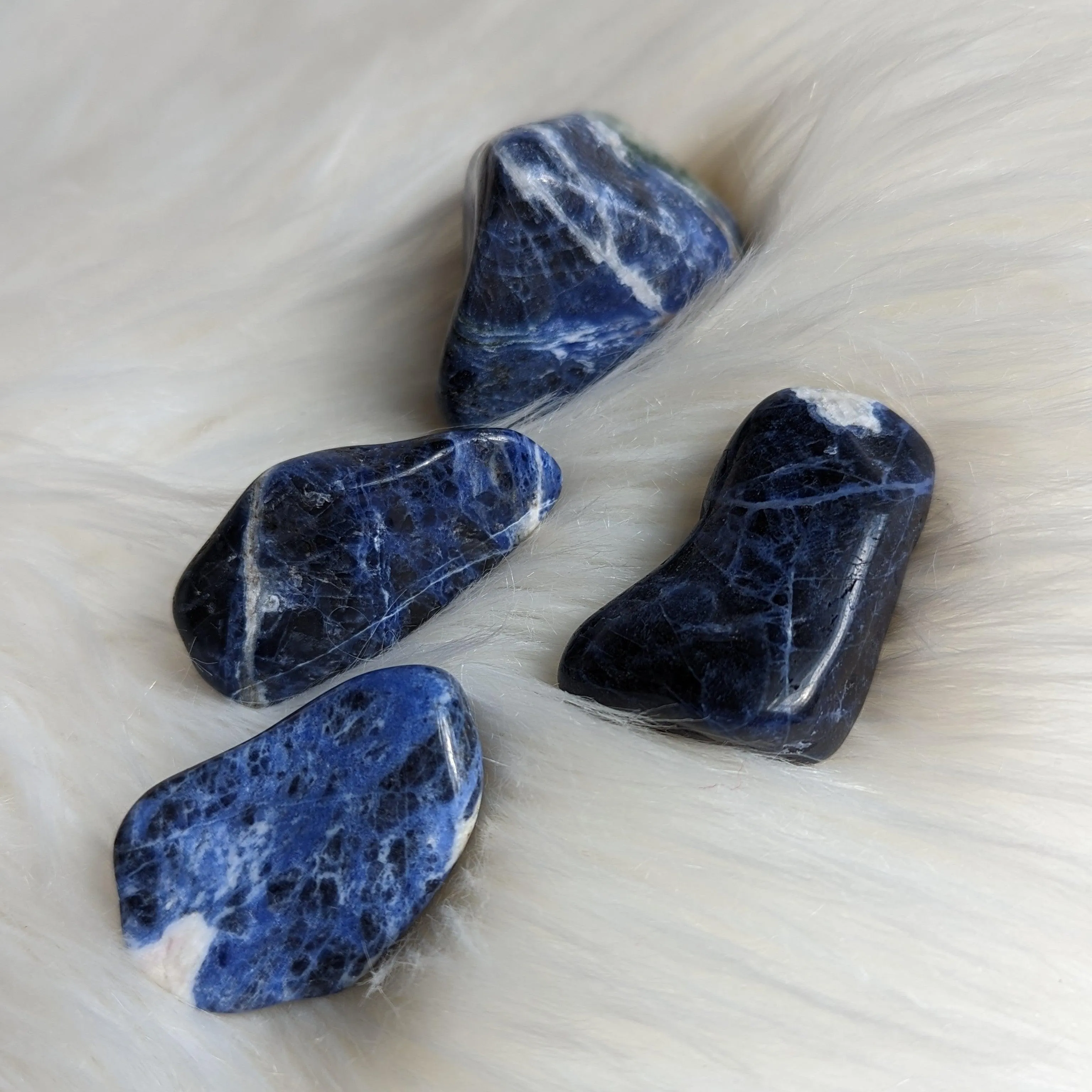 Stunning Grade A Blue Sodalite Tumbled Stones ~ Set of 4